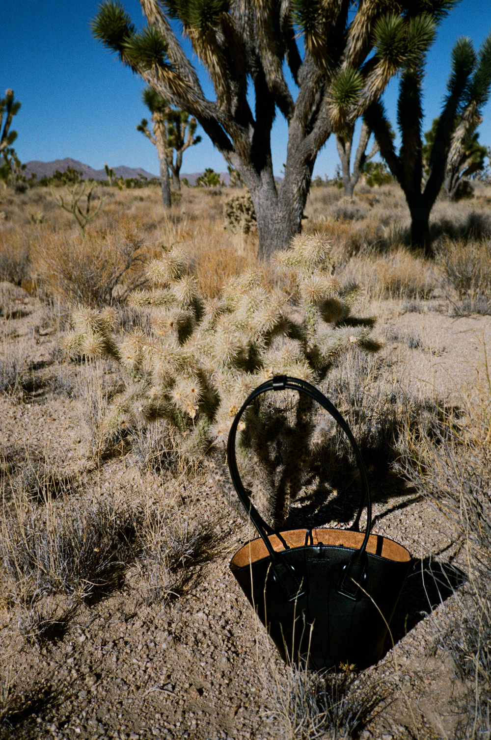 Shooting in Majove National Preserve. Wearing: Céline white sunglasses, Black blazer, cycling pants, Bottega Veneta small Basket bag