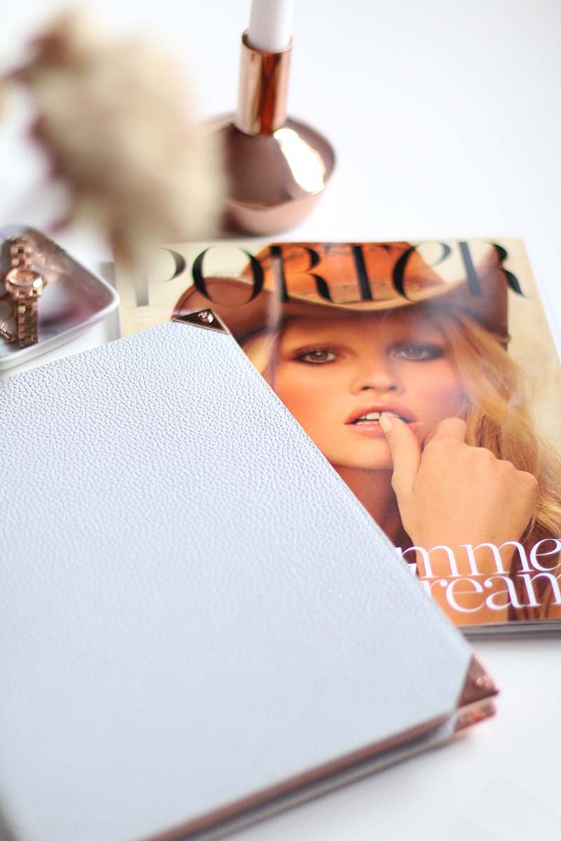 Alexander Wang Prisma iPad case