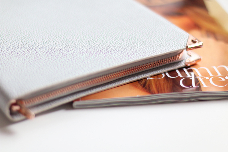 Alexander Wang Prisma iPad case